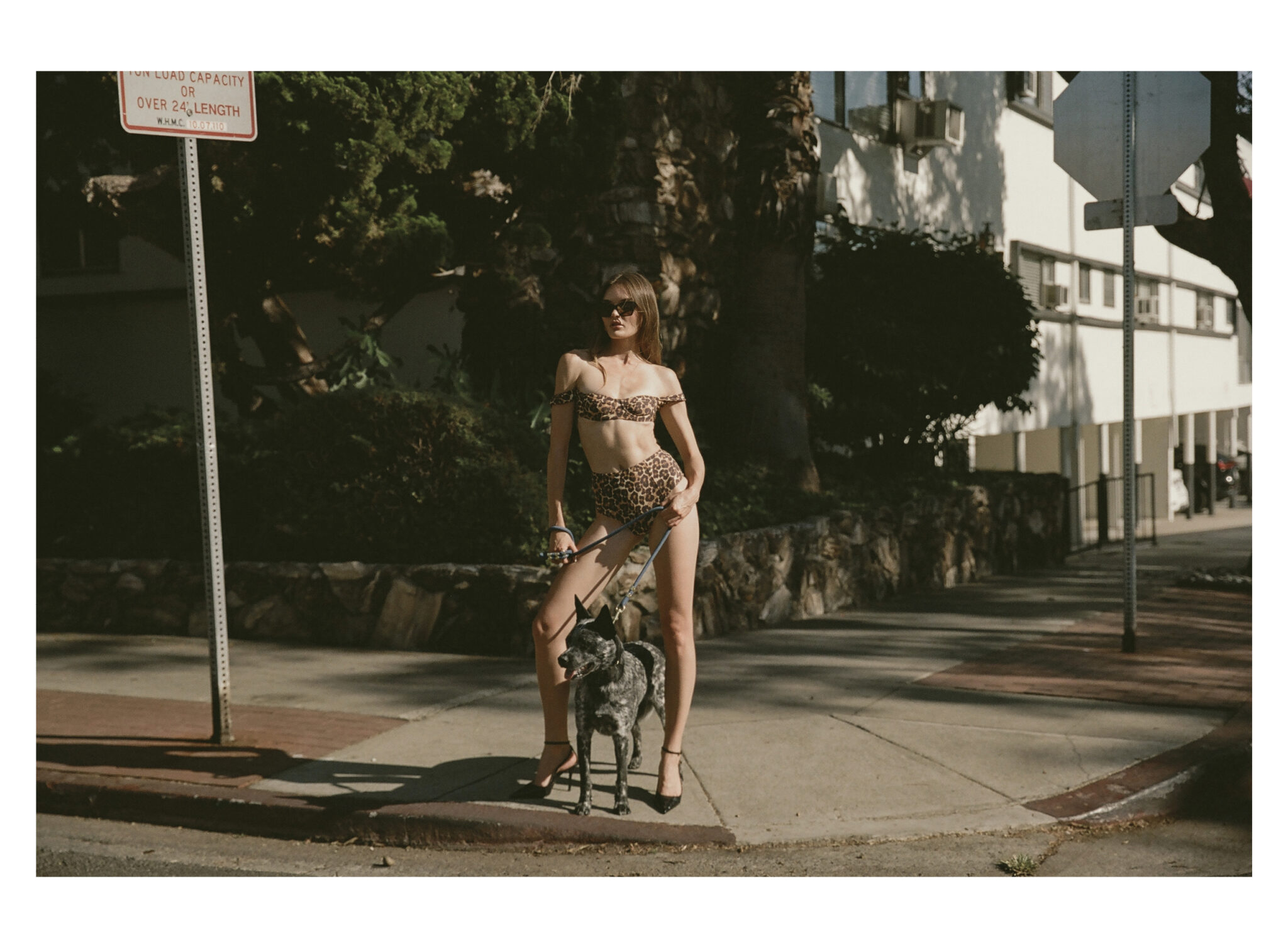 Once Upon a Time In Hollywood