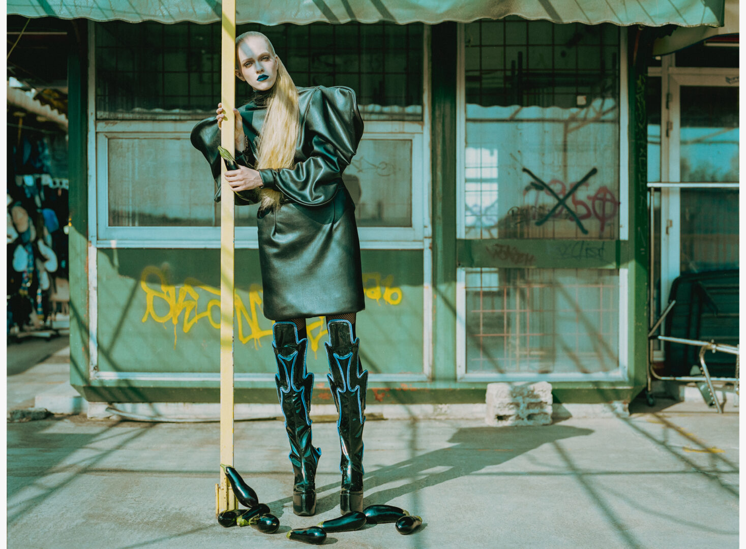 pass by my poem, fairy.