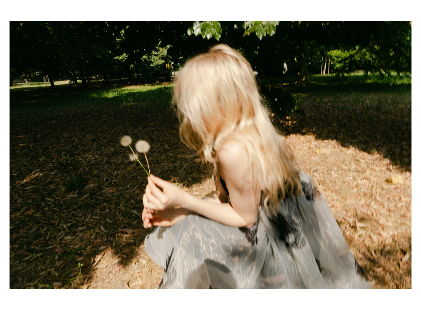 As a shadow in her path